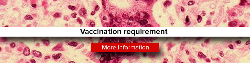 Featured news item: Vaccination requirment